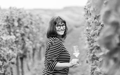 Sie möchten auf Englisch Wein beschreiben?