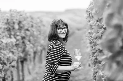 Auf Englisch Wein beschreiben als Weinliebhaber oder Professional